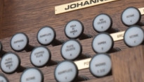 de registers van een Johannus orgel